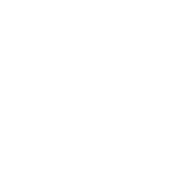 truck icon in white from front